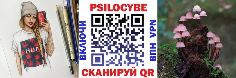 магазин продажи   Анжеро-Судженск  blacksprut зеркало  Псилоцибиновые грибы Magic Shrooms 